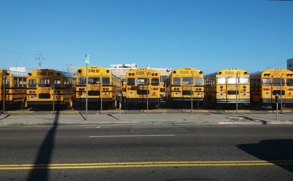 Yellow school buses lined up sde-by-side in a parking lot