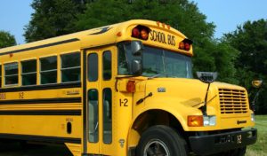 A yellow school bus on the road