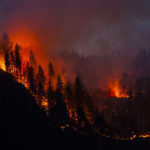 Trees on a hillside burn at night