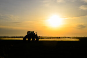 tractor spraying paraquat on a wheat field at sunset