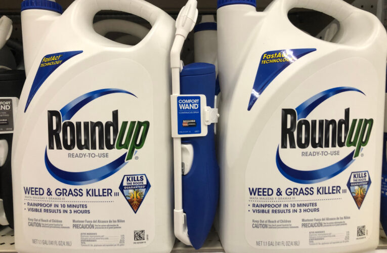 Retailer store shelf with containers of RoundUp weed killer.