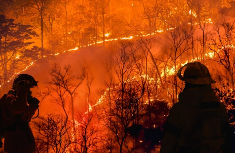 Firefighters battle a wildfire because El nino events , climate change