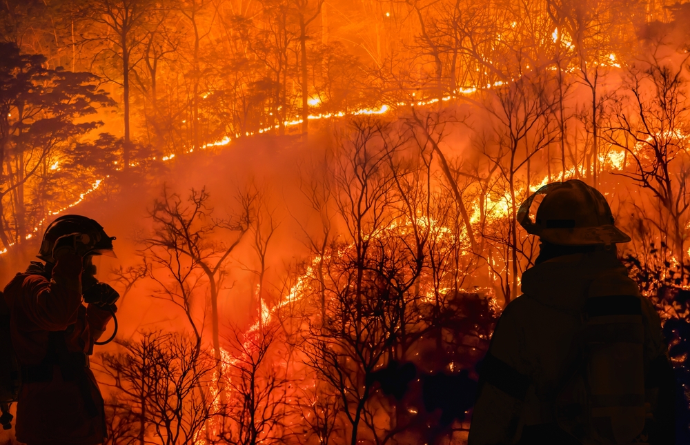 Firefighters battle a wildfire because El nino events , climate change