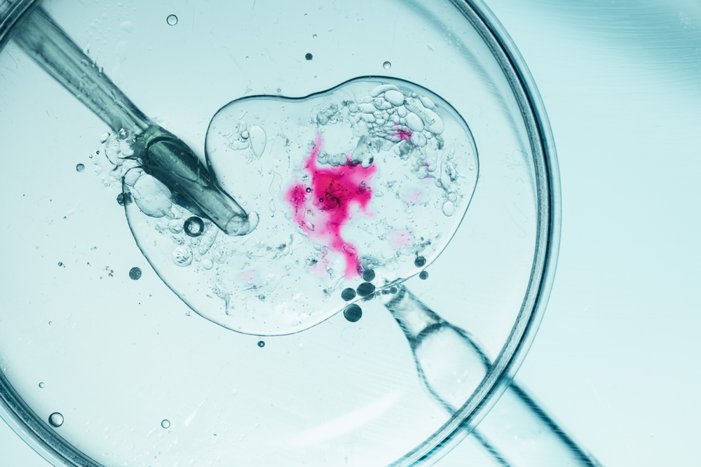 Close-up of in vitro fertilization process